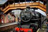 43106 The Flying Pig on last day in Steam 202443106 The Flying Pig on last day in Steam 2024 Anthony Carwithen (1)