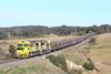 SSR grain freight train - Joppa Junction near Goulborn - September 2024 (Source - SSR)