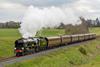 west_somerset_railway_trainline-image(992x661-crop-autorotate)