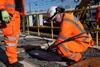 Engineer fitting new cables as part of the East Coast Digital Programme
