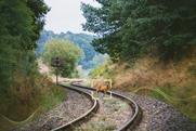 Flox - Deer on railroad gh