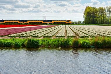 shutterstock_233169985