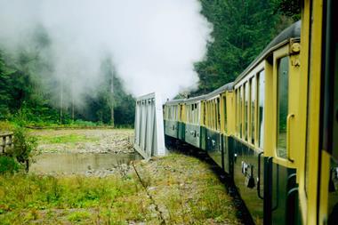 shutterstock_2636558941