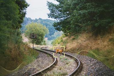 Flox - Deer on railroad gh