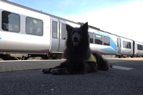 31bf6b93282149bc90333d654a8cd8ae