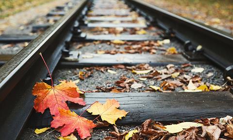 Railway,Rails,Closeup,Background,With,Fallen,Autumn,Leaves