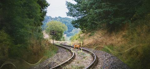 Flox - Deer on railroad gh